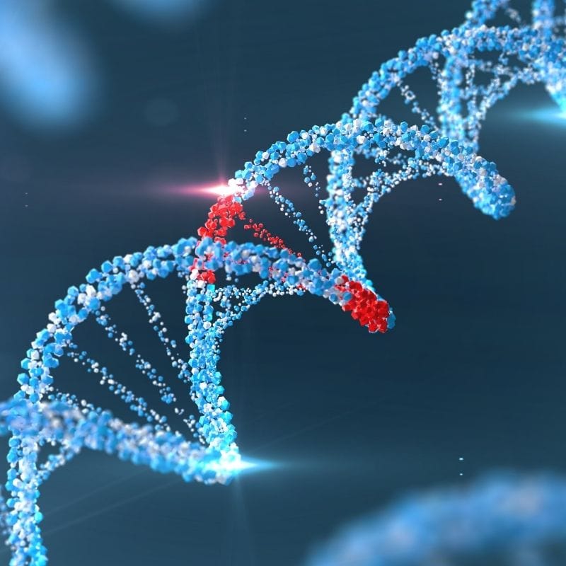 methylation-3 DNA double helix