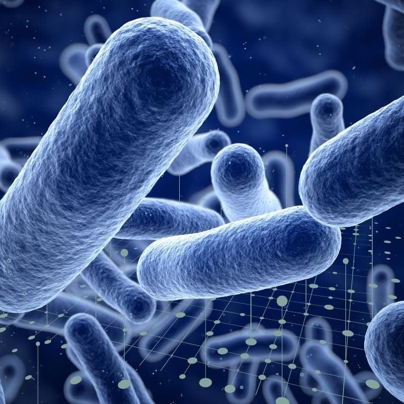 microbiomix-4 An image of gut microbes