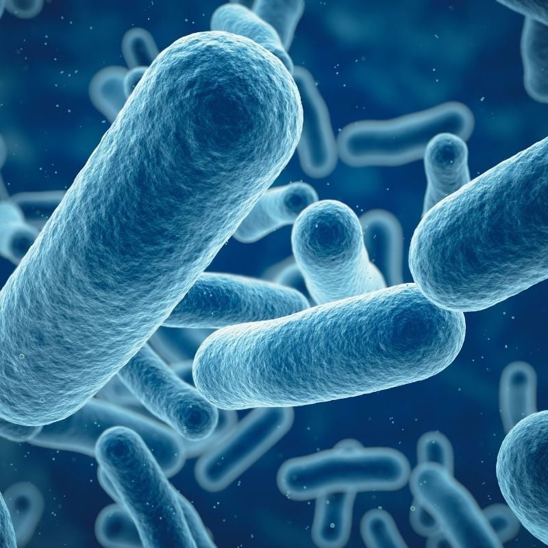 Graphic representation of bacteria