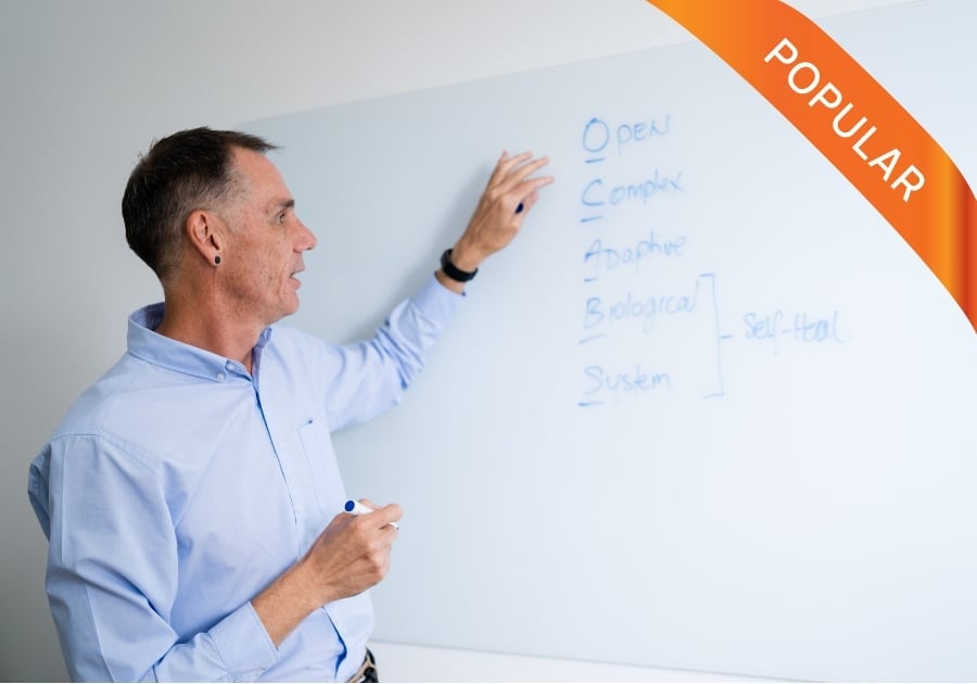 services-mark-looking-at-whiteboard-popular photo of practitioner mark payne explaining health systems on a whiteboard