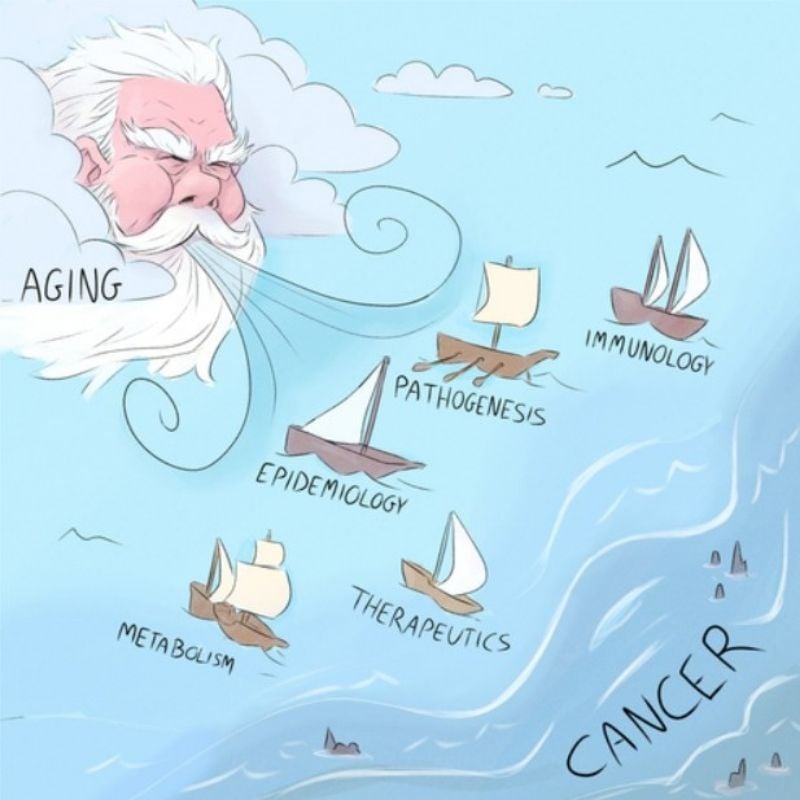 ageing-cancer-research graphical abstract of old man wind blowing boats representing immune system and metabollism across seas towards shores of cancer