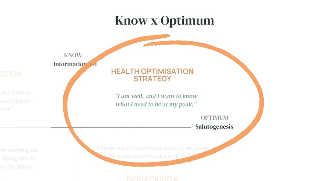 zoomed in section of health services matrix focusing on optimisation strategy