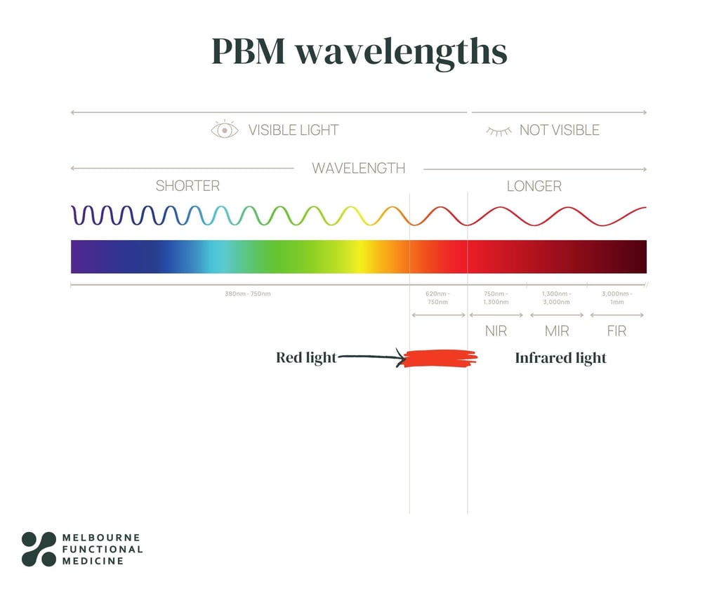 infographic comparing pbm wavelengths using colour spectrum
