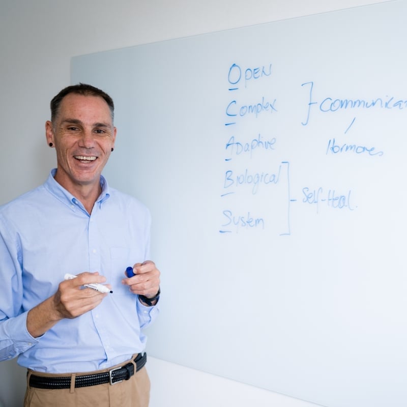 mark-smiling-whiteboard mark payne functional medicine practitioner chatting with liv brown health coach