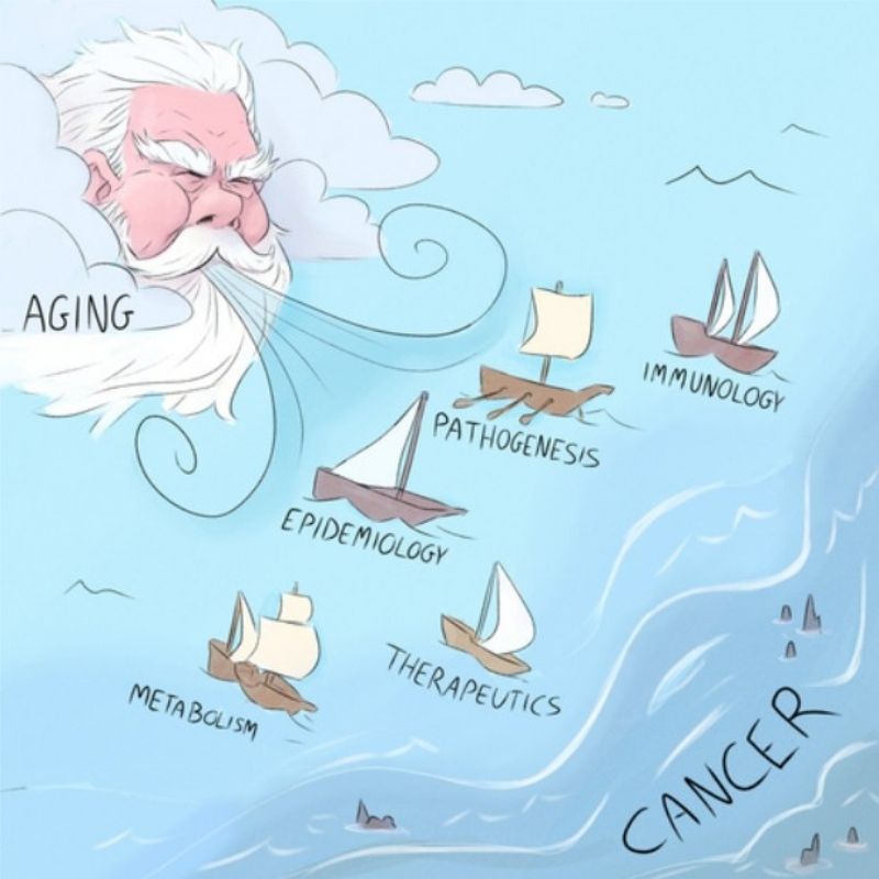 ageing-cancer-research graphical abstract of old man wind blowing boats representing immune system and metabollism across seas towards shores of cancer